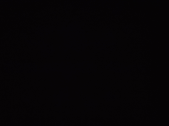 blkalerts - live test 5